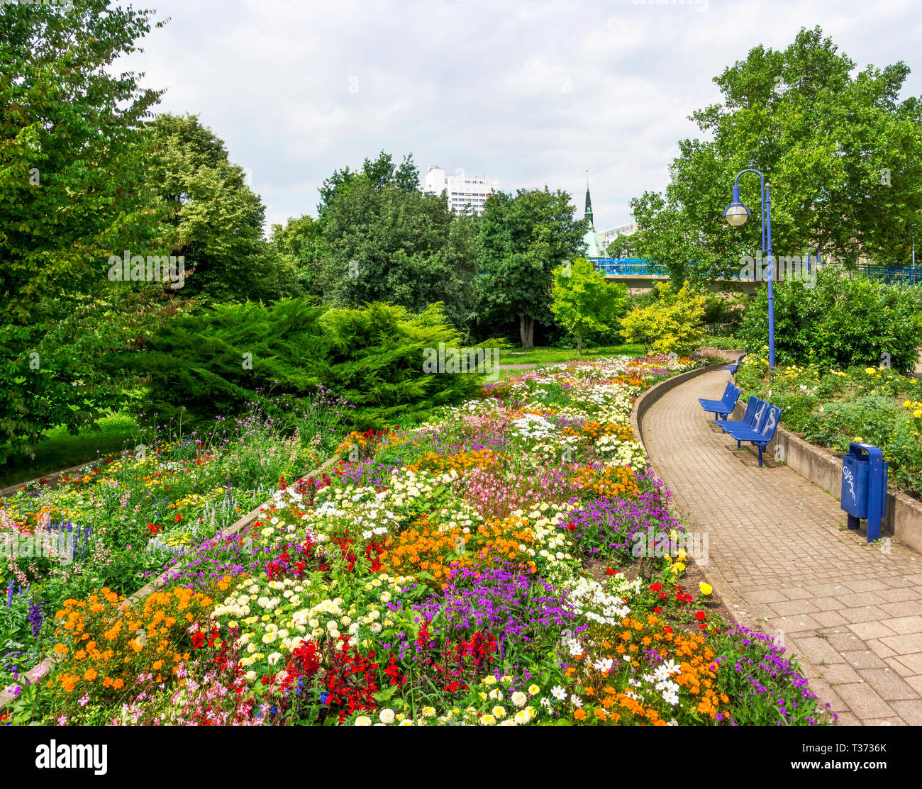 Lush flower beds in the summer garden. A bright sunny day Stock Photo ...