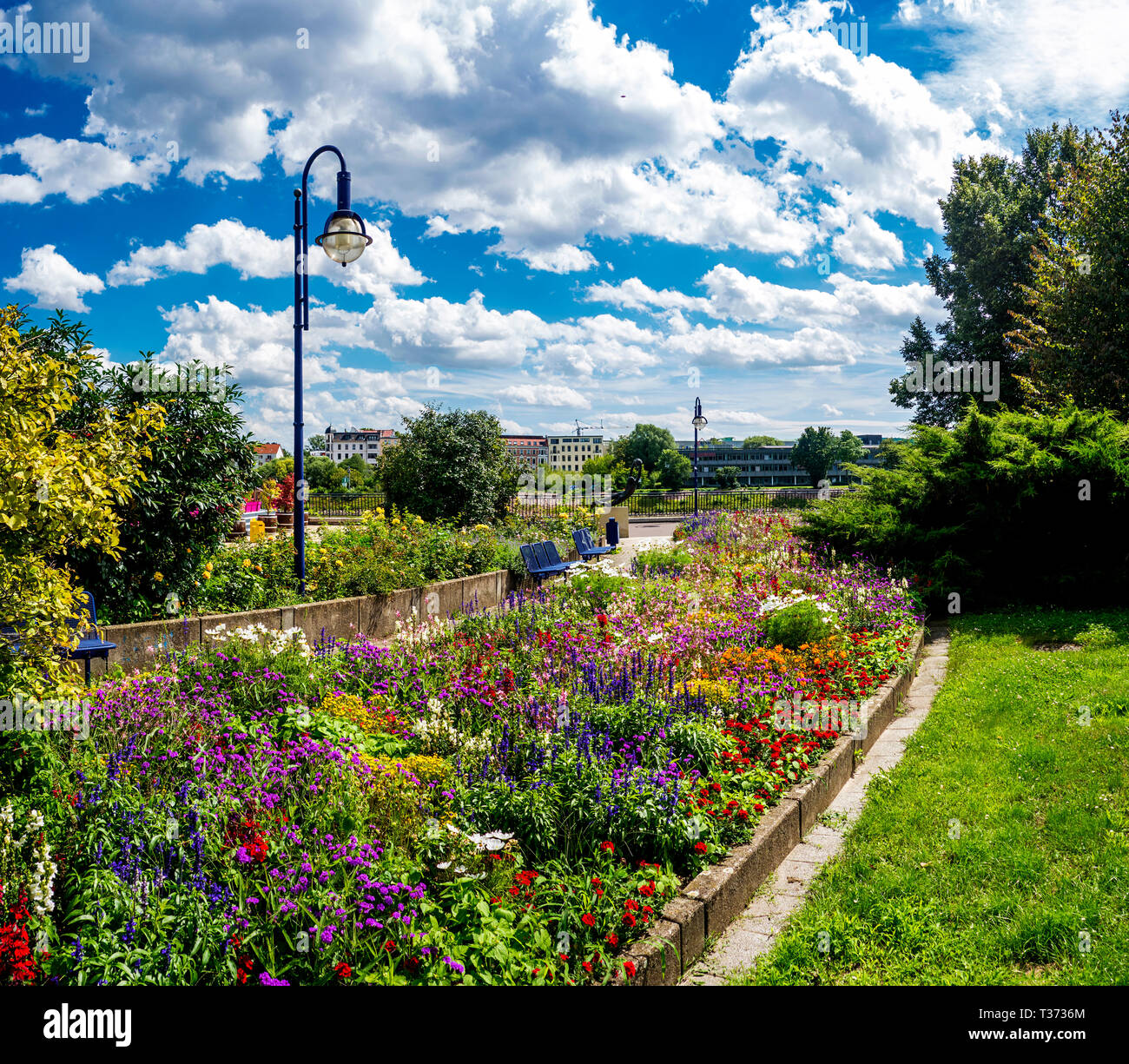 Lush flower beds in the summer garden. A bright sunny day Stock Photo ...