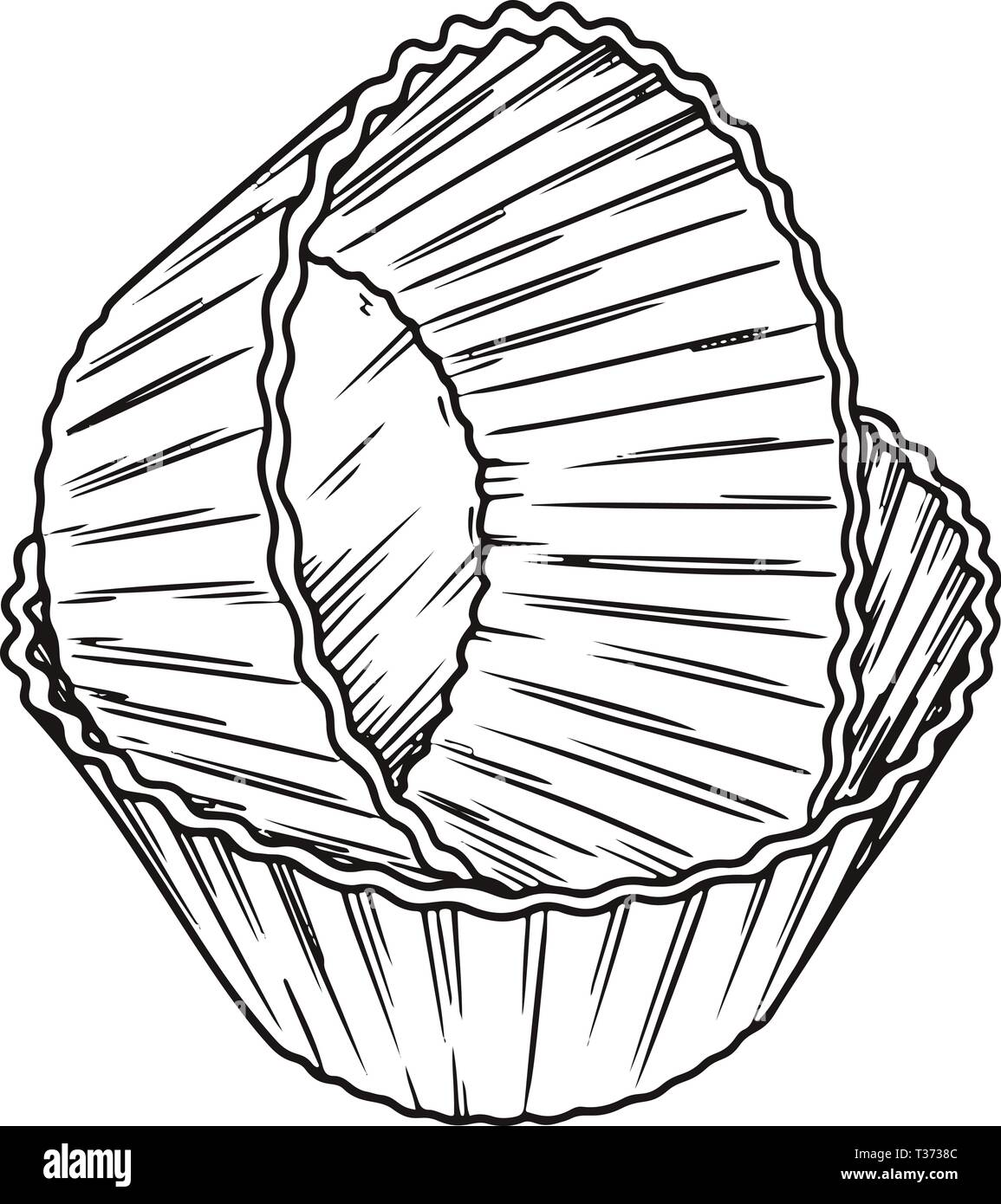 Sketch silicone forms for cooking muffin isolated on white background. Vector Stock Vector