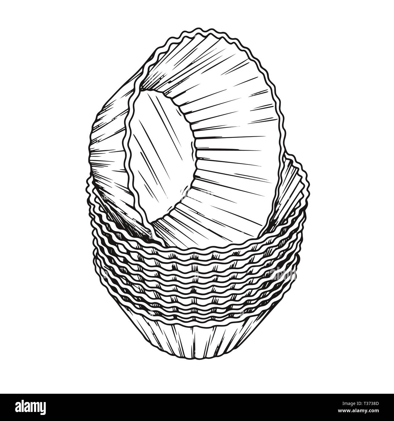 Sketch silicone forms for cooking muffin isolated on white background. Vector Stock Vector
