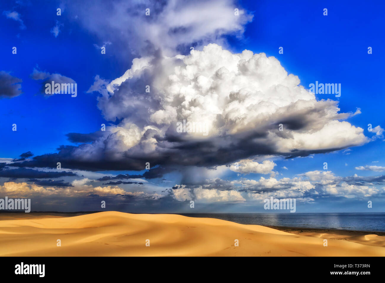 Turtle like shaped stormy rain cloud over sand dunes on Pacific coast of Australia in blue sky dropping rain to arid deserted Stockton beach. Stock Photo
