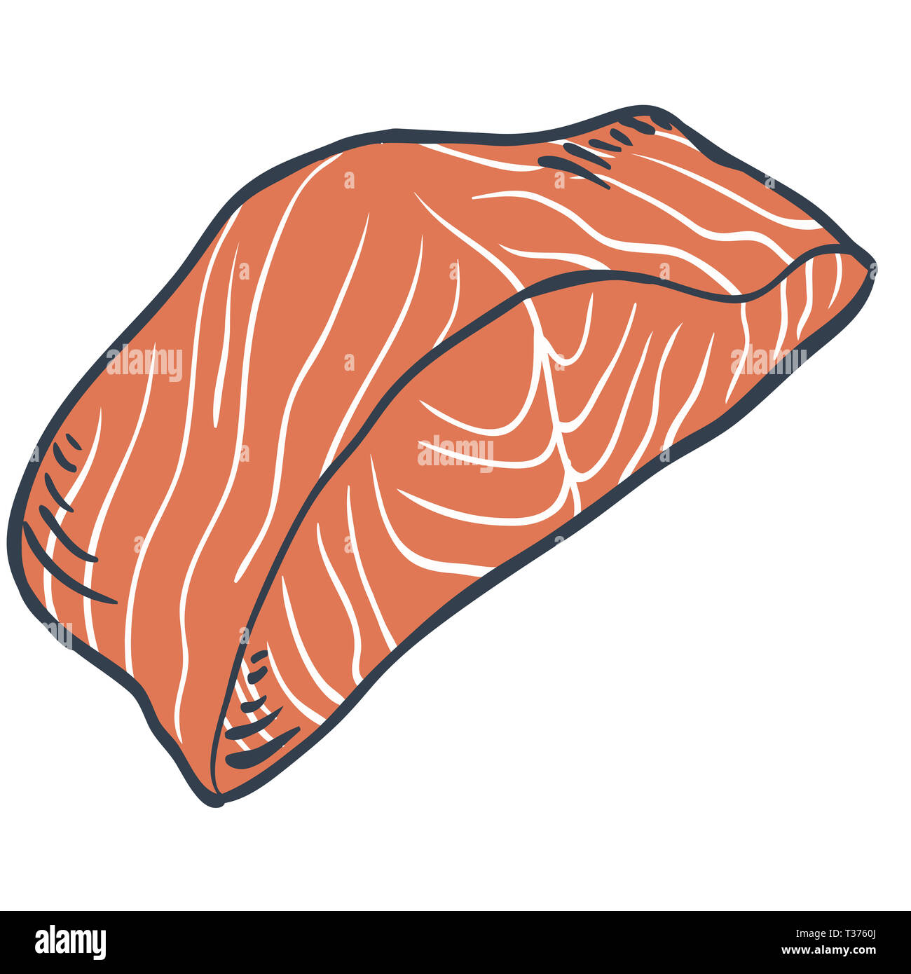salmon fish filet protein raw seafood illustration Stock Photo