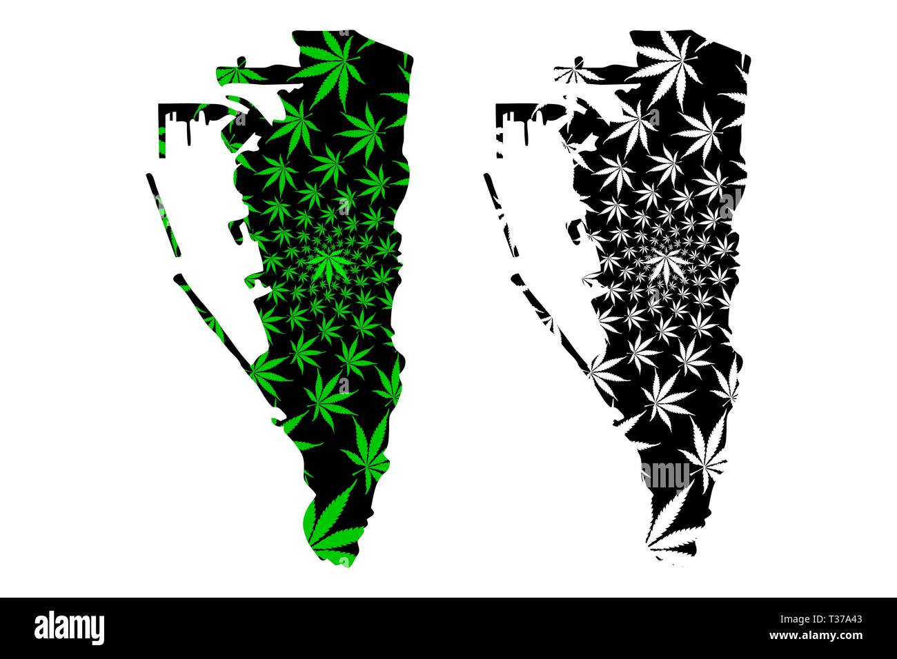 Gibraltar map is designed cannabis leaf green and black, Principality