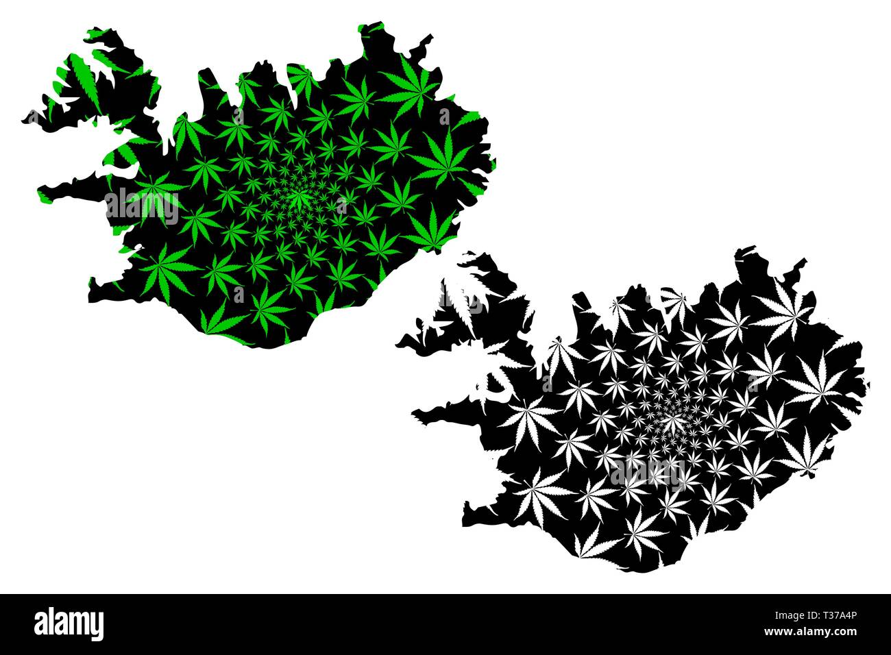 Iceland Map Is Designed Cannabis Leaf Green And Black Iceland Map   Iceland Map Is Designed Cannabis Leaf Green And Black Iceland Map Made Of Marijuana Marihuanathc Foliage T37A4P 