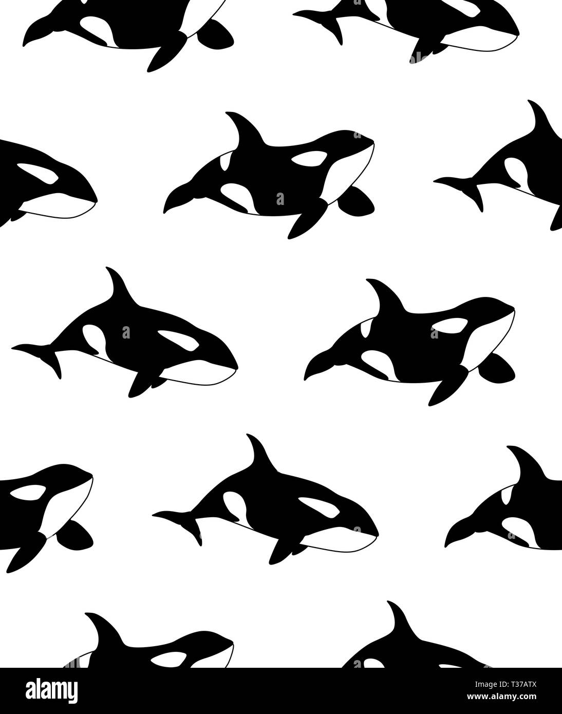 Vector seamless pattern of hand drawn killer whale swimming on white ...