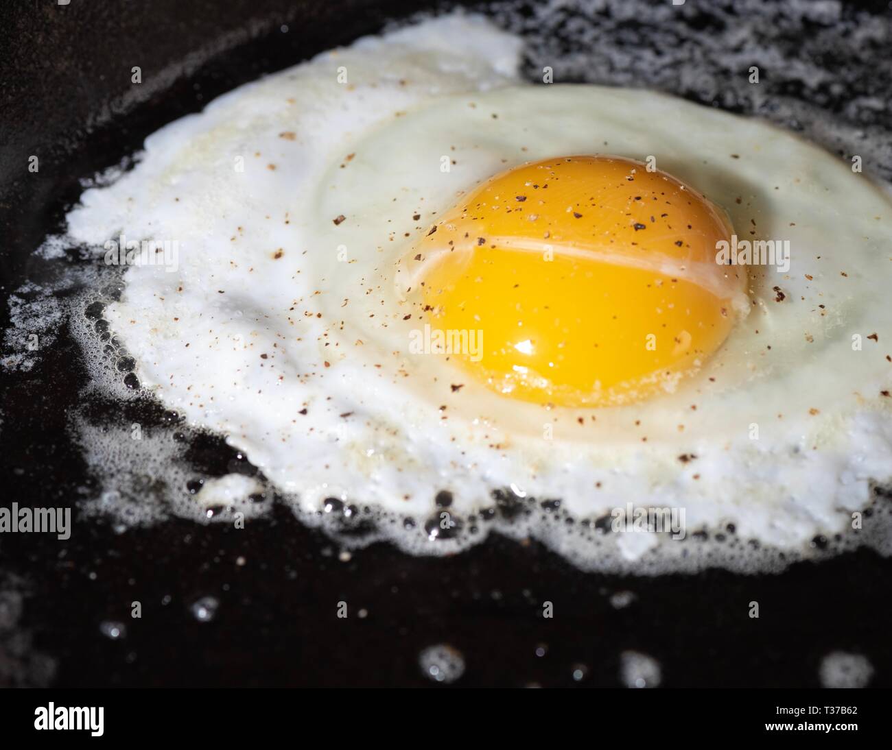Frying egg sprinkled with salt and pepper. Stock Photo