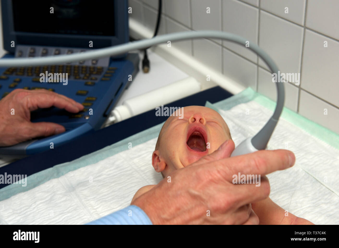 Doctor using a FujiFilm SonoSite MicroMaxx mobile heart monitor Stock Photo