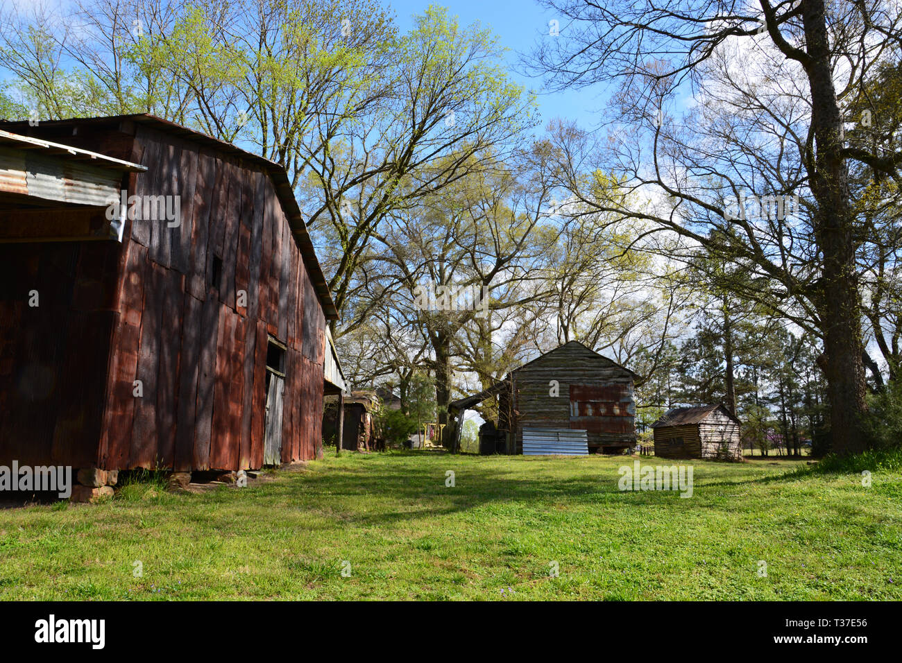Rustic log cabins located in a wooded area along the Neuse River