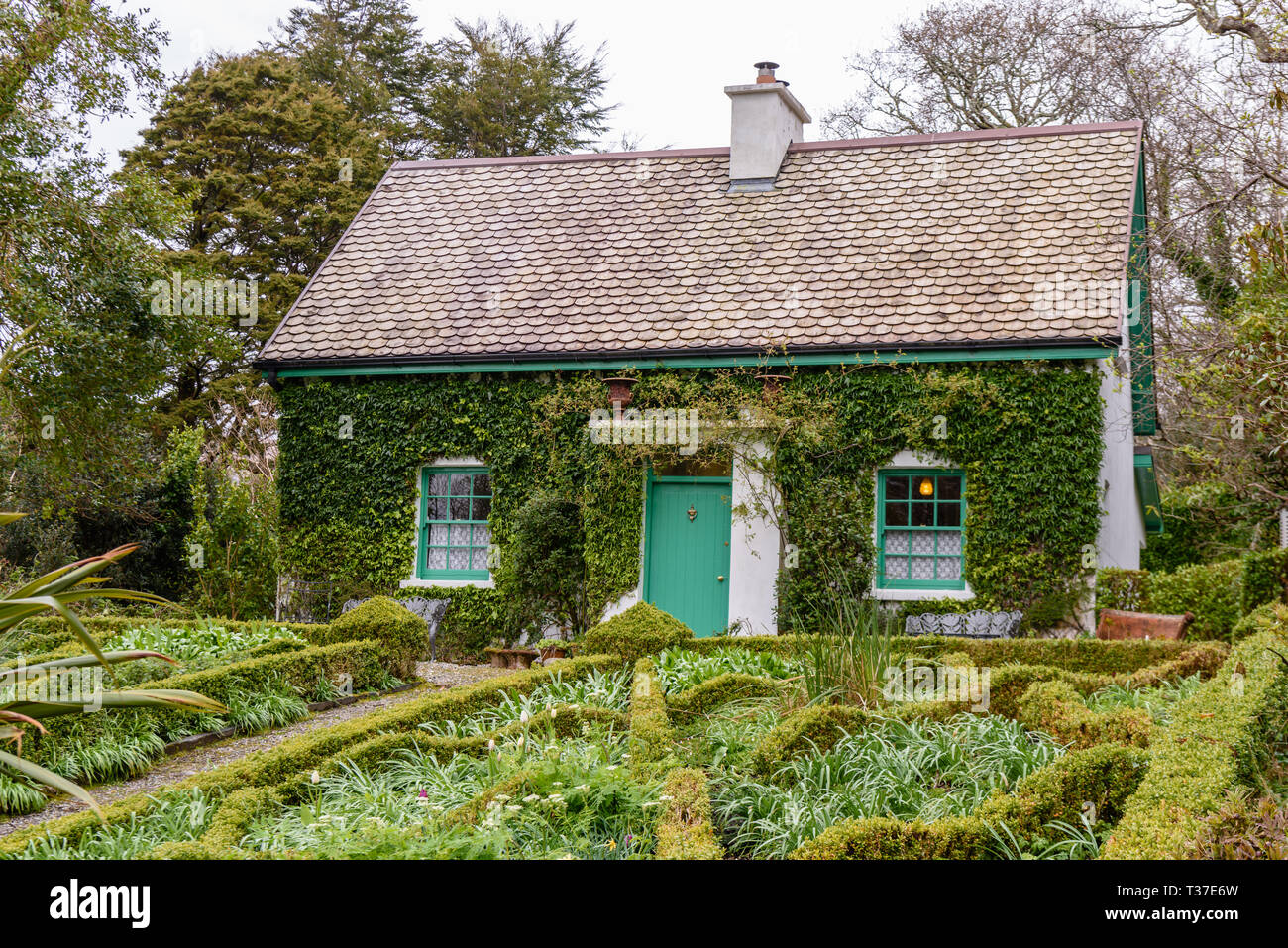 Small pretty Irish cottage, with a well kept garden with box hedges. Stock Photo