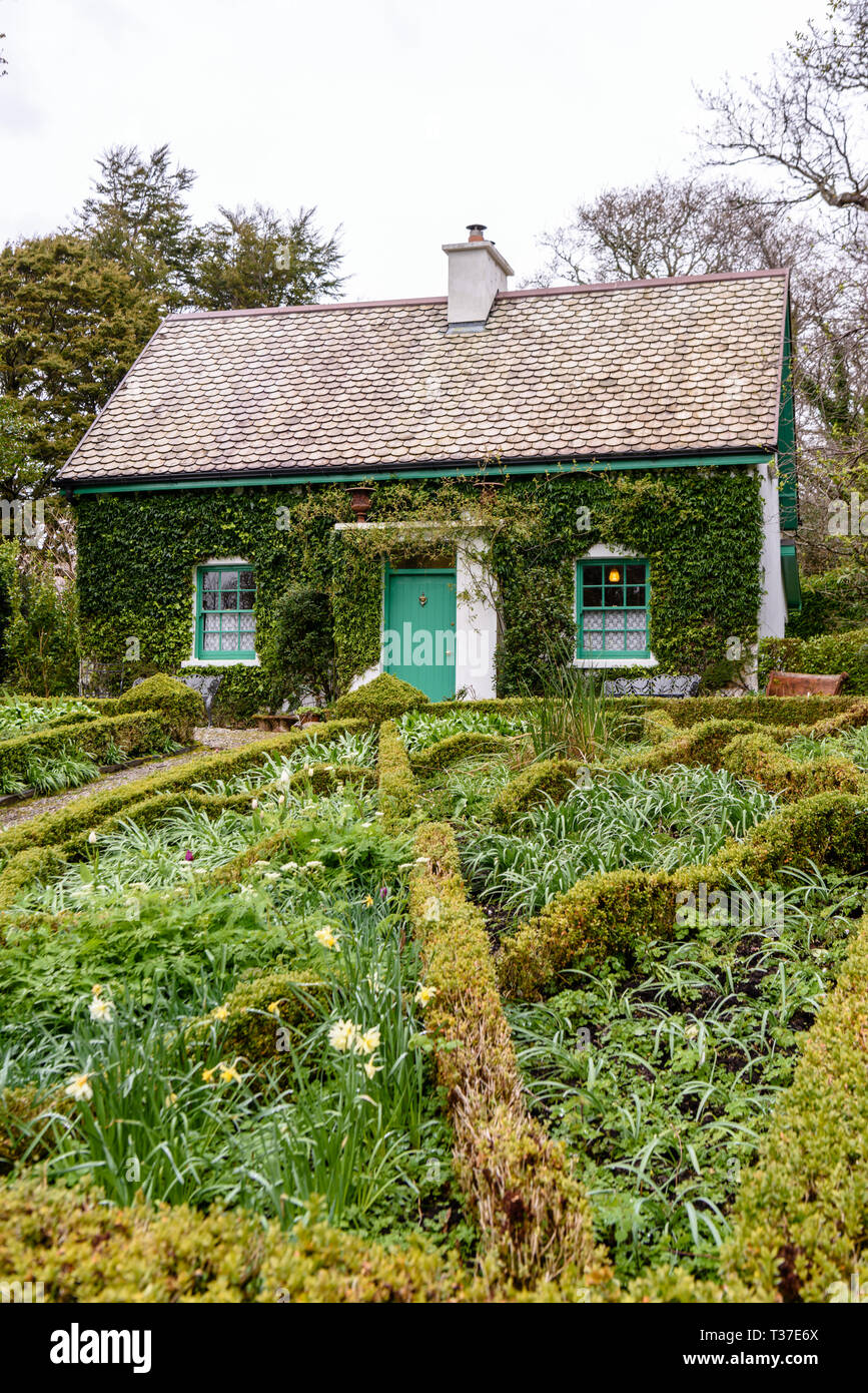 Small pretty Irish cottage, with a well kept garden with box hedges. Stock Photo