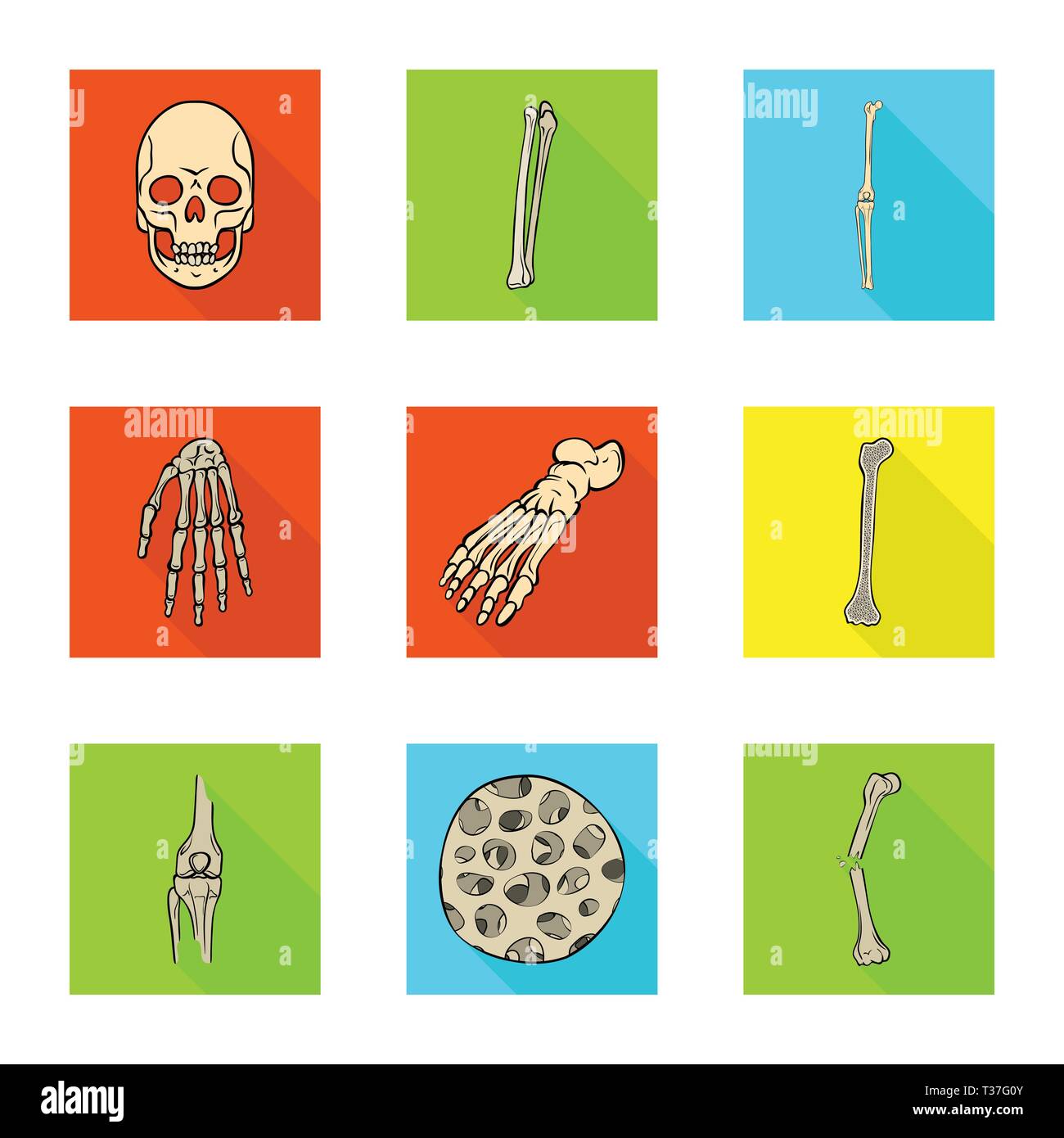 Vector illustration of bone and skeleton sign. Collection of bone and
