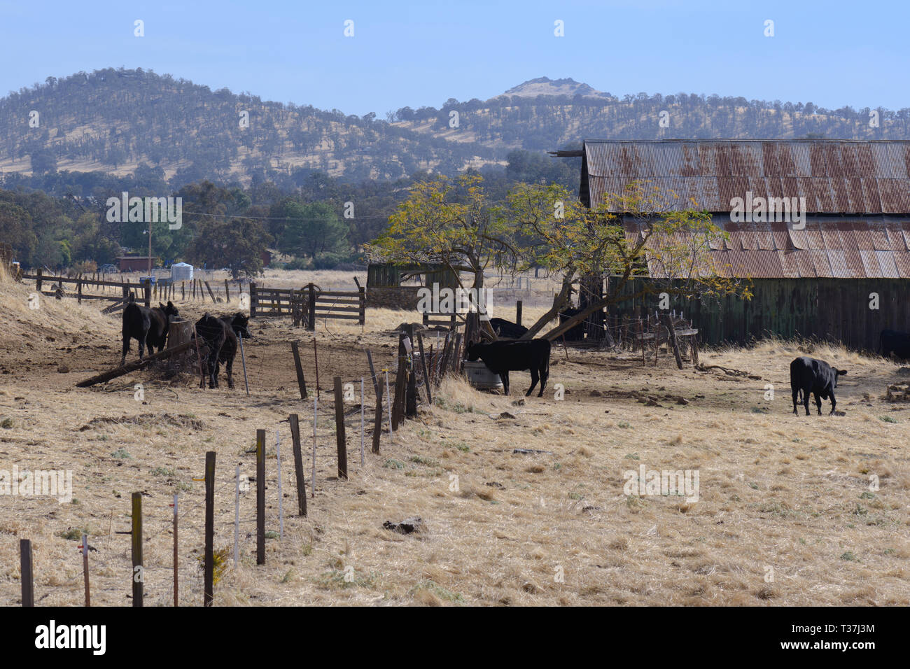 Sierra foothills california hi-res stock photography and images - Alamy