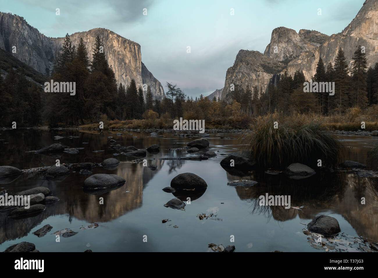 El Capitan reflected in the Merced River in Yosemite National Park in autumn Stock Photo