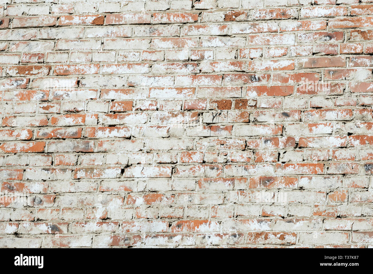 Old painted red brick wall background and texture Stock Photo