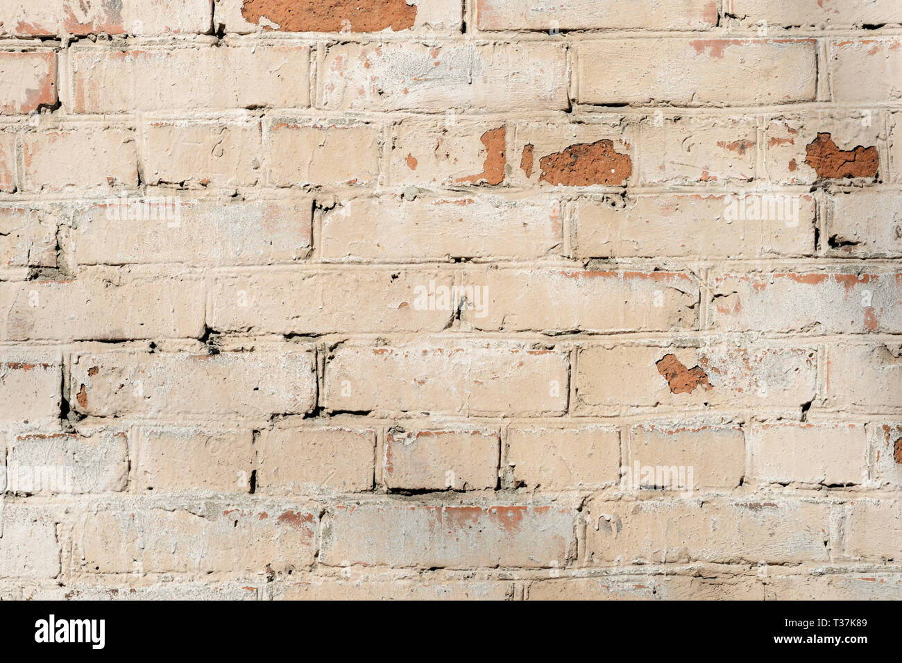Old painted red brick wall background and texture Stock Photo