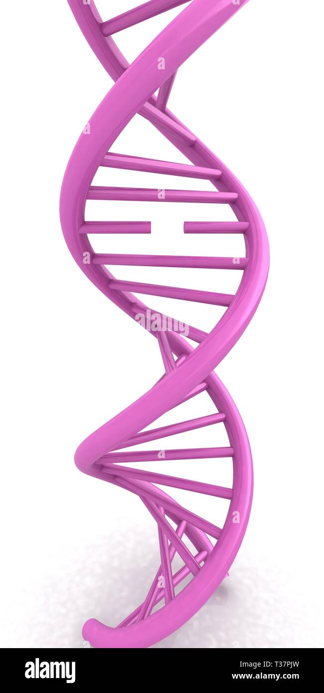 DNA structure model on white. 3d illustration Stock Photo - Alamy