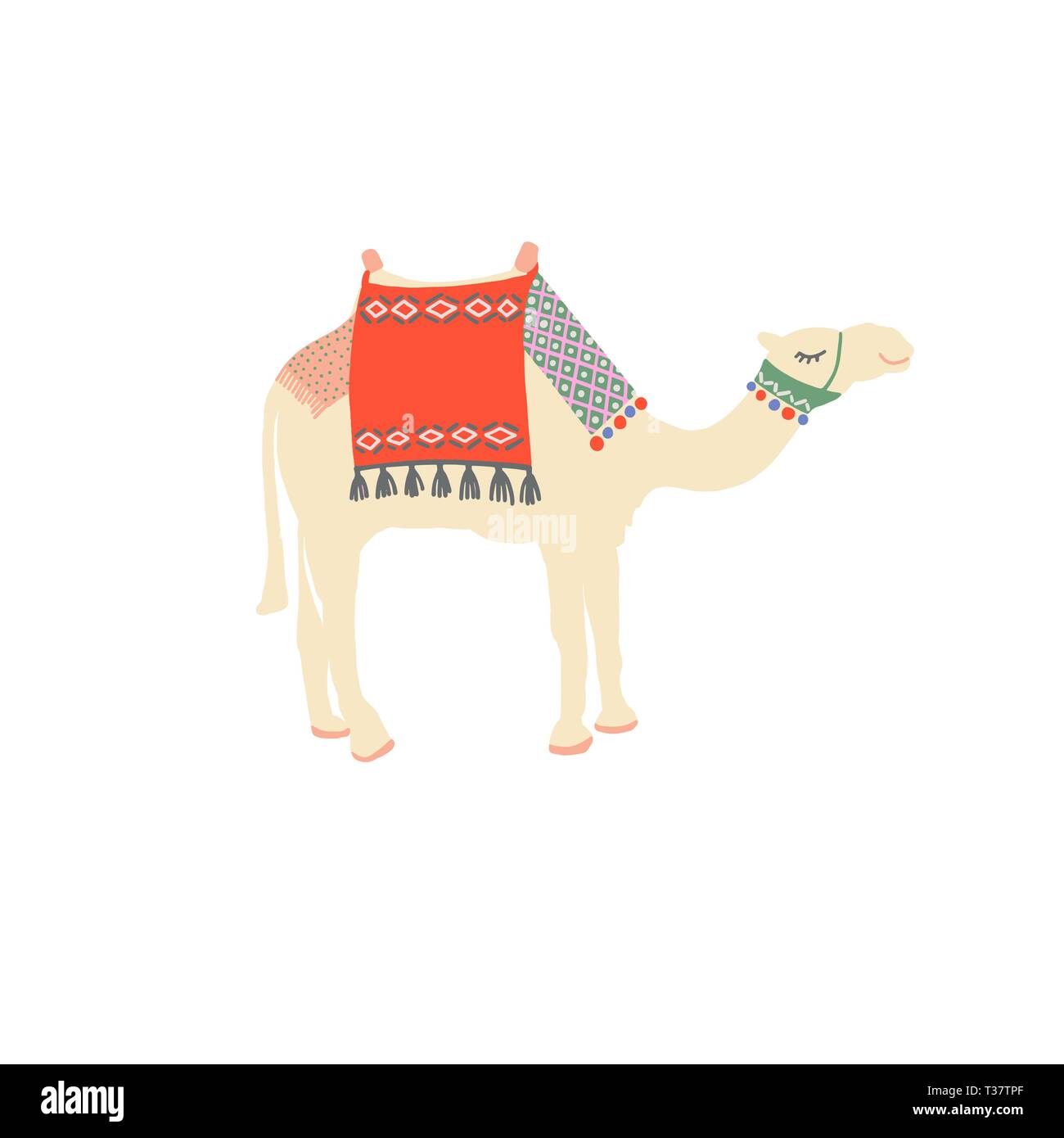 egyptian camel decorated with bright carpets and ornaments in ...