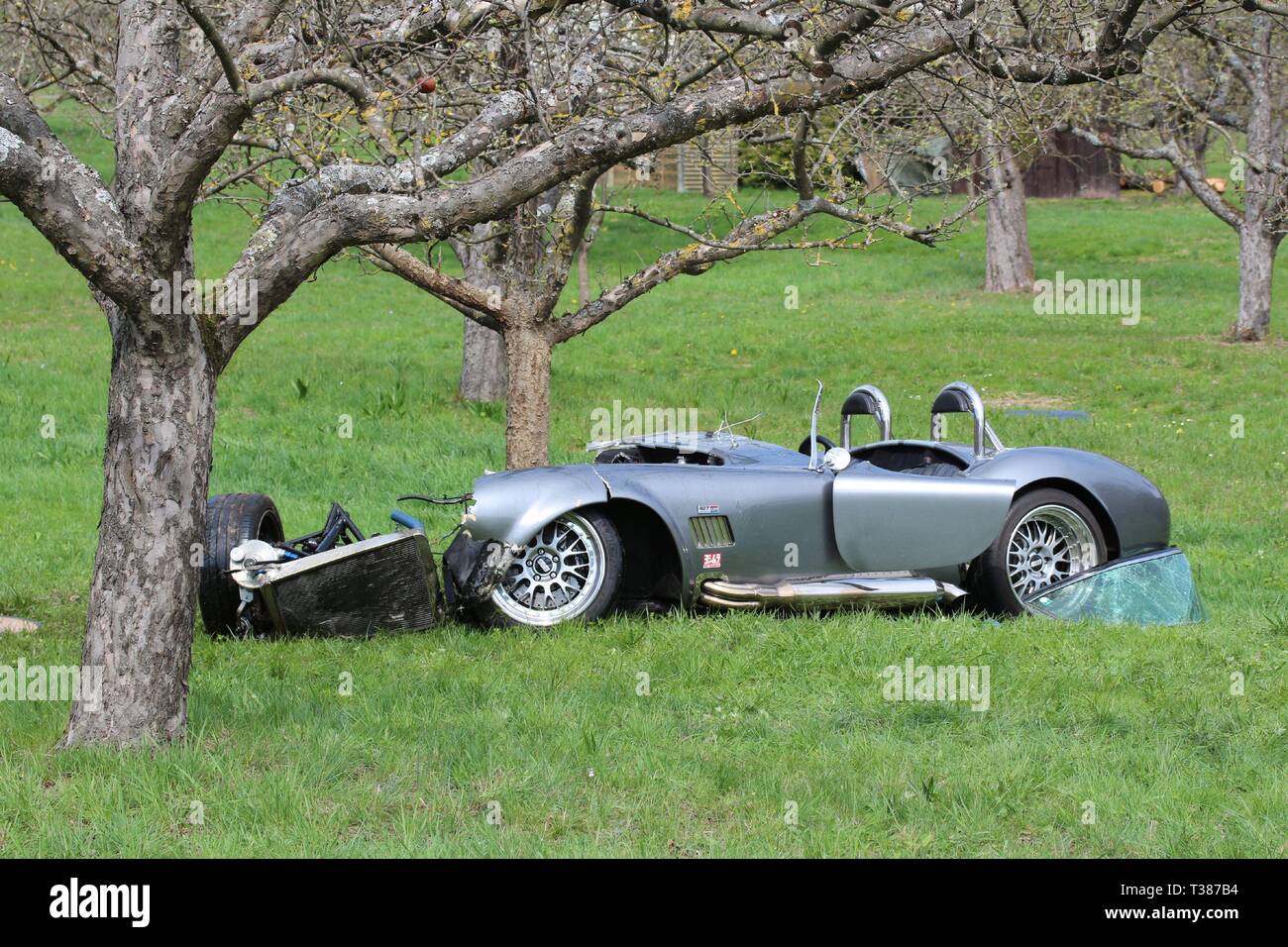 06 April 19 Baden Wuerttemberg Auenwald The Wreck Of An Oldtimer Ac Cobra Stands After An Accident Off The Road K 1907 From Unterbruden To Lippoldsweiler Rems Murr Kreis Shortly After Unterbruden The Driver Had 06 April 19 Baden Wuerttemberg Auenwald The Wreck Of An Oldtimer Ac Cobra Stands After An Accident Off The Road K 1907 From Unterbruden To Lippoldsweiler Rems Murr Kreis Shortly After Unterbruden The Driver Had