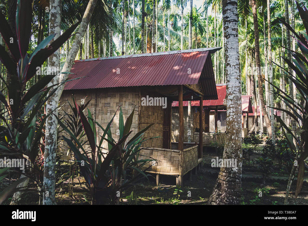the Thatched roof hut in the jungle. thatched bungalows in the palm