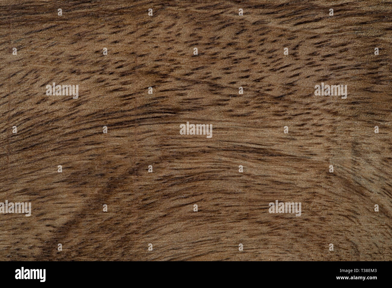 Wood texture surface Stock Photo
