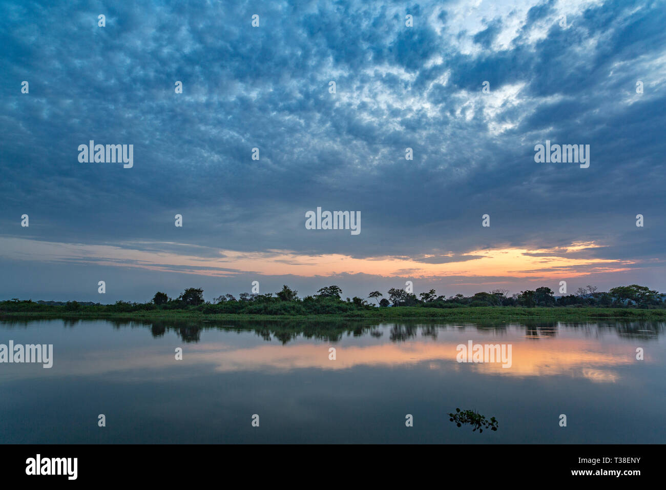 Sunset at the Wetlands, Pantanal, Mato Grosso, Brazil Stock Photo