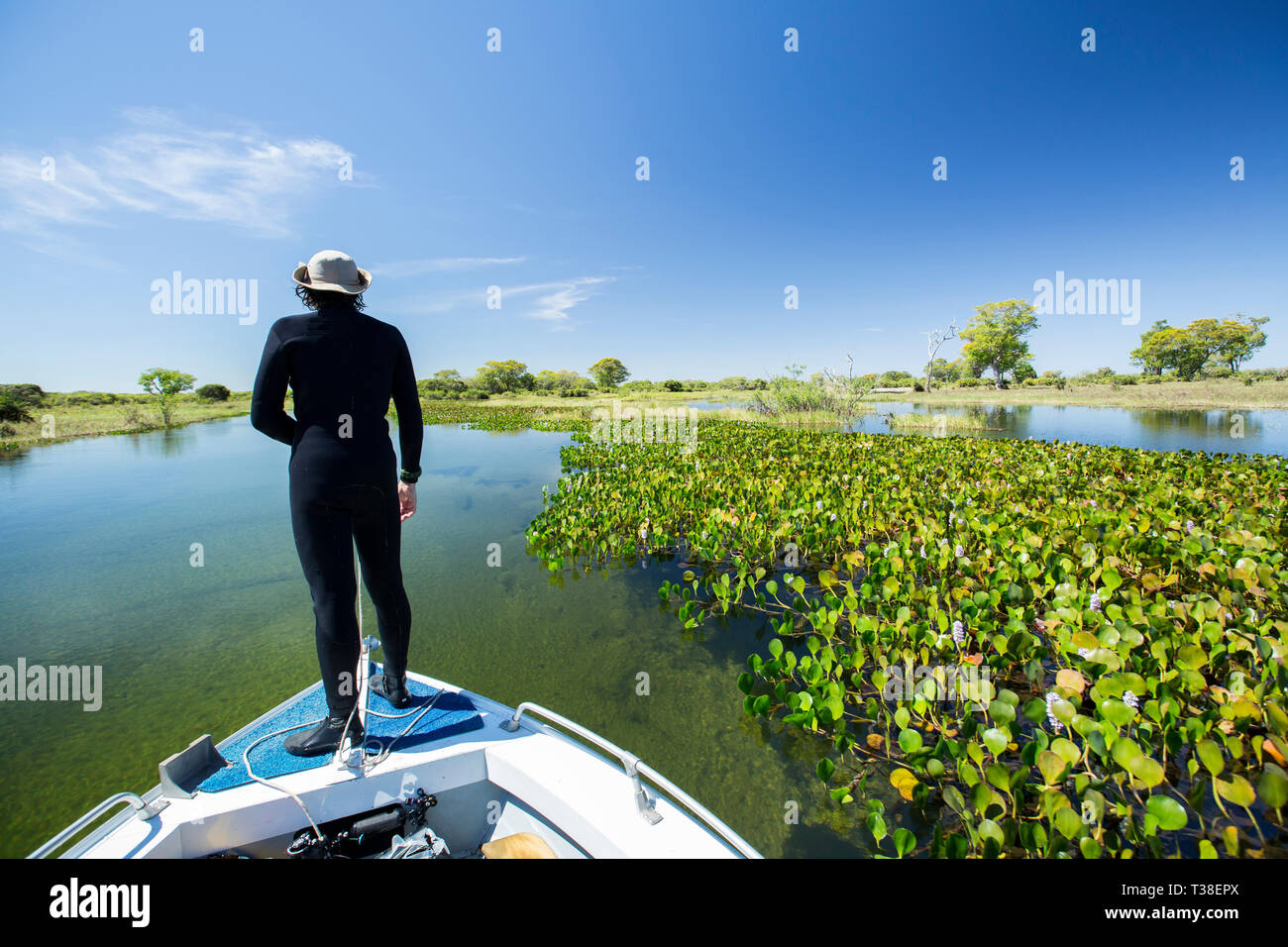 Impressionen of Rio Paraguay, Pantanal, Mato Grosso do Sul, Brazil Stock Photo