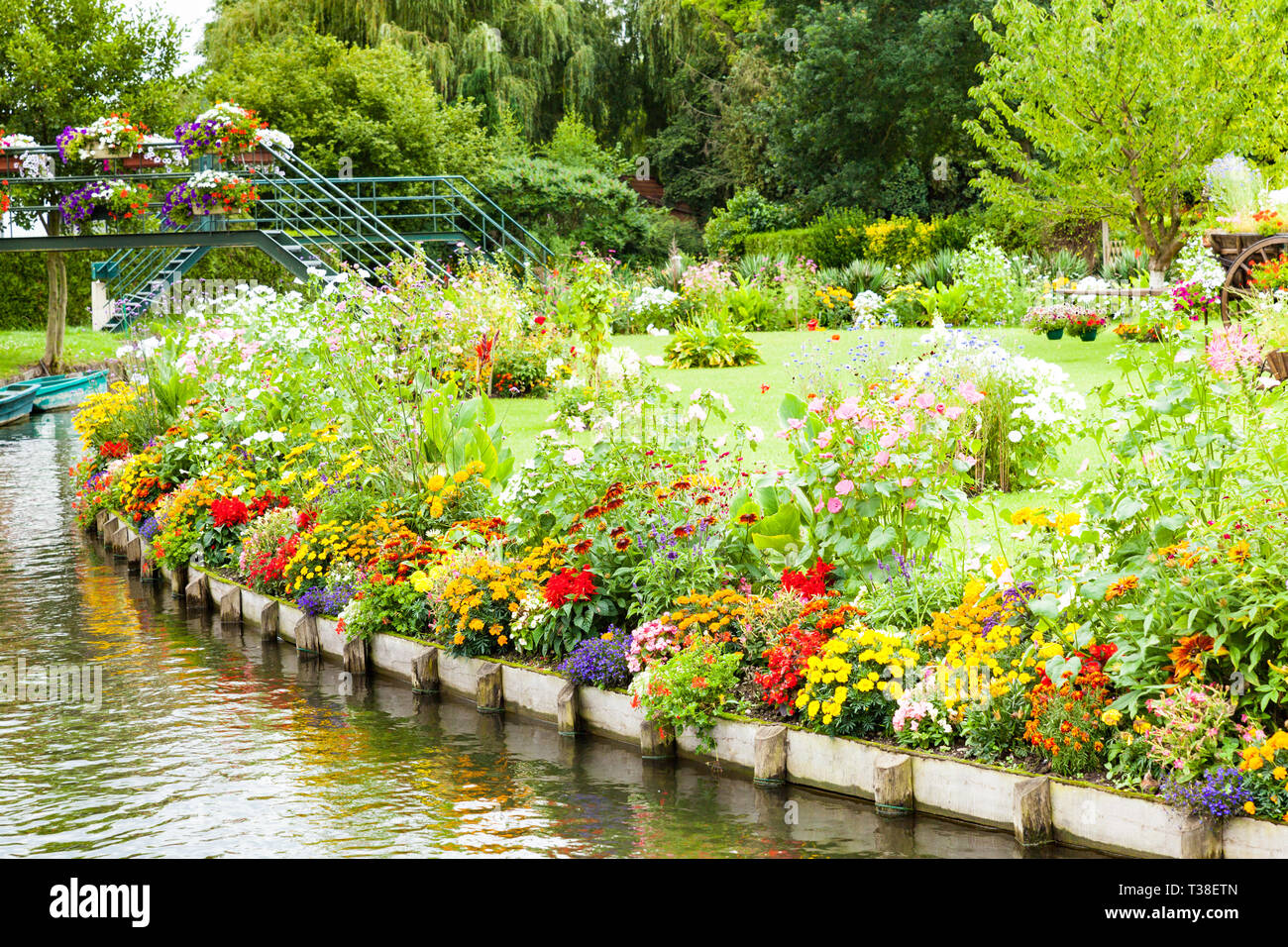 flowery gardens of all colors floating in the spring between the canals, Hortillonnages in Amiens in France Stock Photo