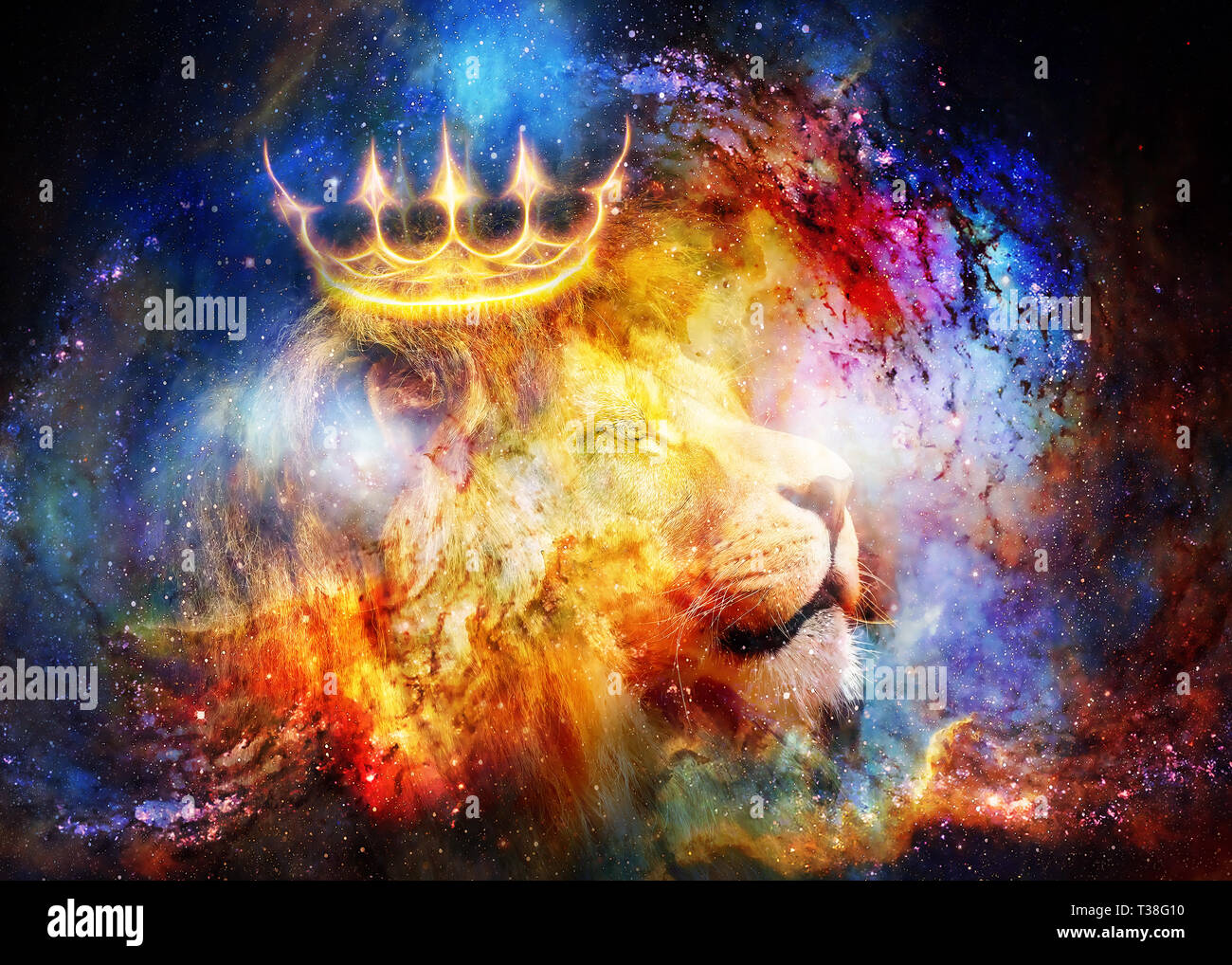 Lion King In Cosmic Space Lion On Cosmic Background Stock Photo Alamy Lion King In Cosmic Space Lion On Cosmic Background Stock Photo Alamy
