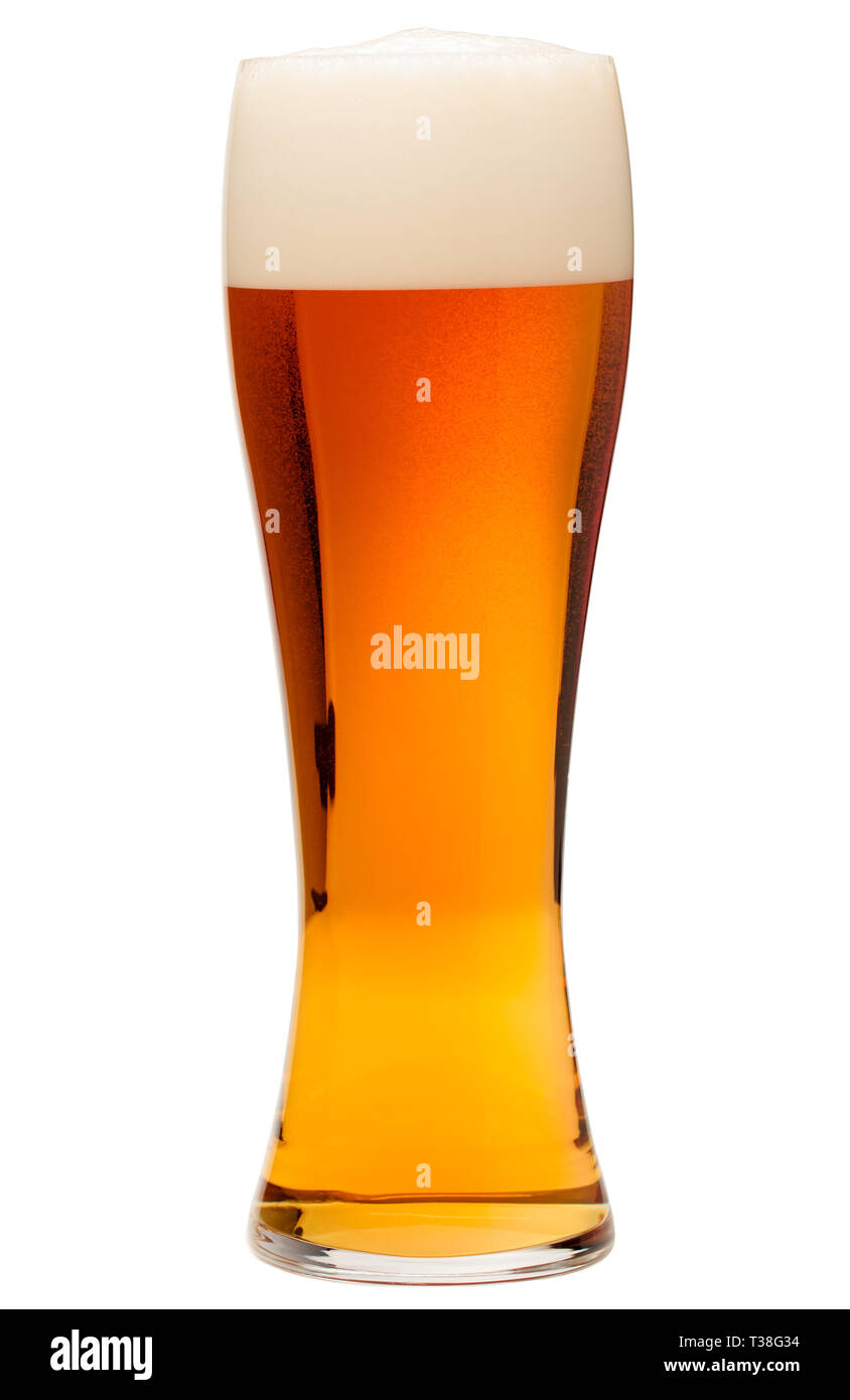 Full pilsner glass of bubbling amber beer or ale with tall head of foam