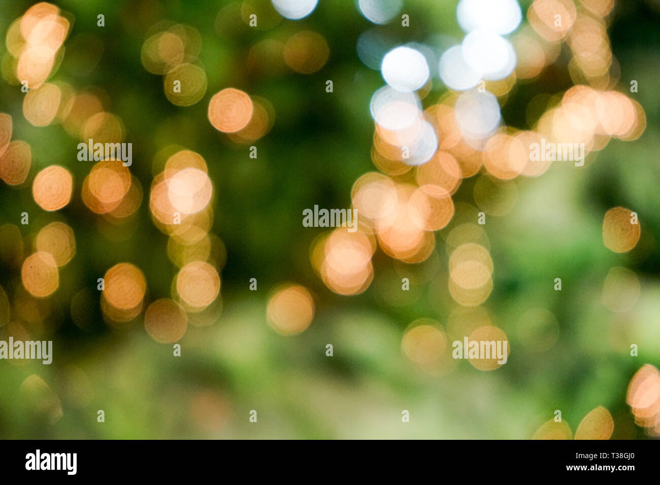 fresh nature green blurry and bokeh background Stock Photo - Alamy