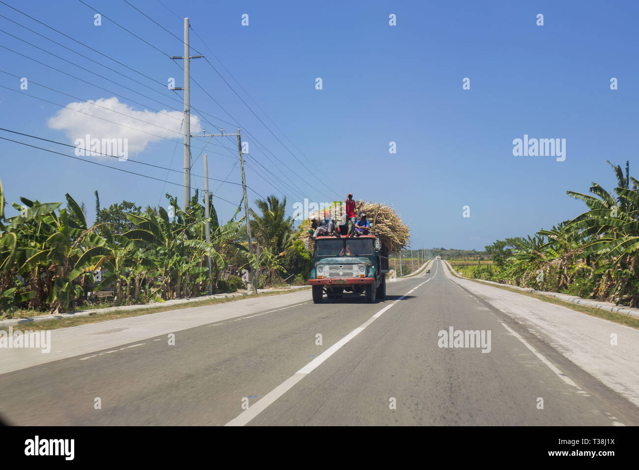 sugar cane trucks transportation in north of cebu with sugar cane