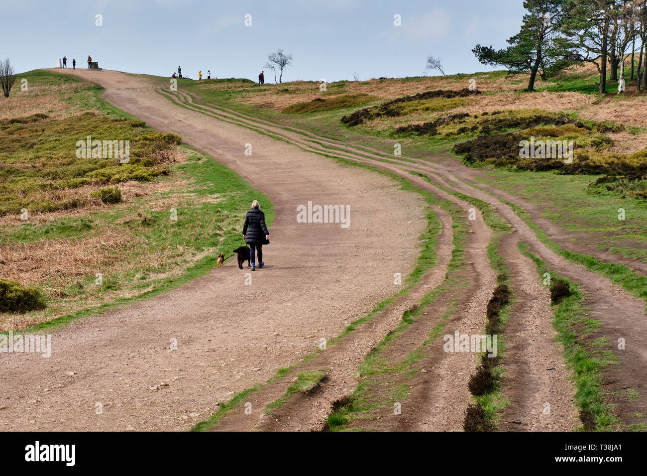 The bridleway curving round and up to the summit of The Wrekin, Telford & Wrekin, Shropshire Stock Photo