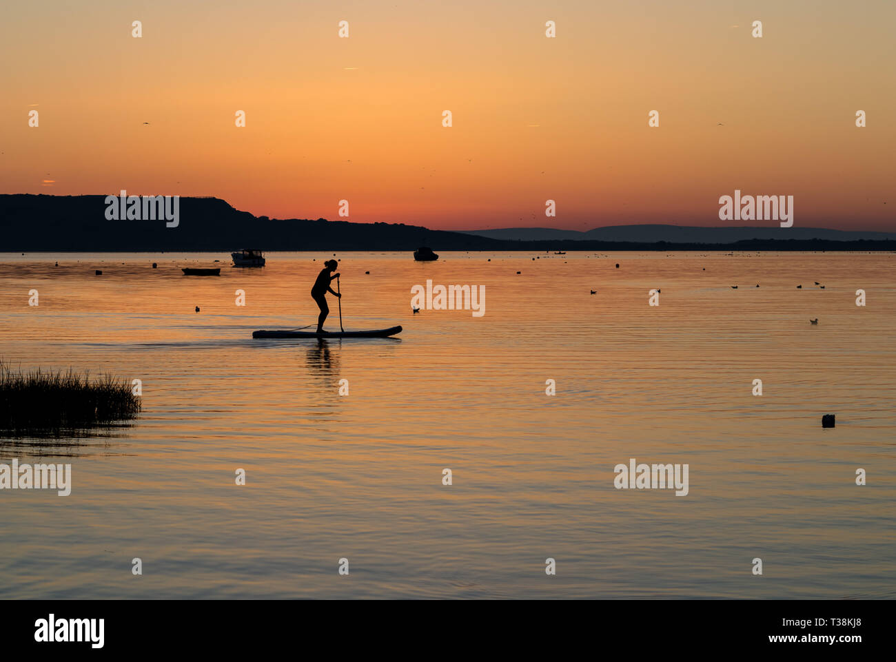 Christchurch harbour paddle boarding hires stock photography and images Alamy