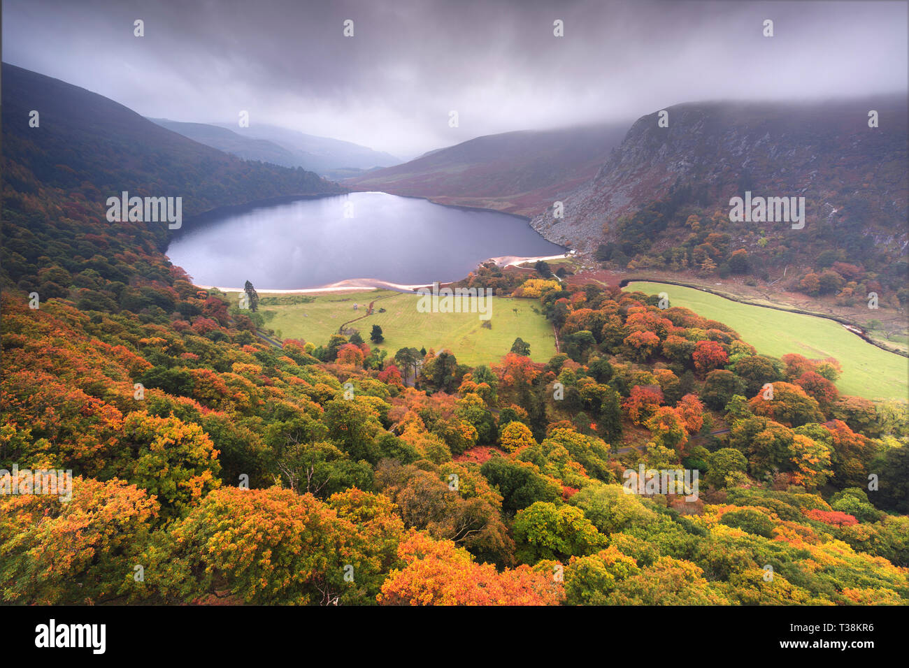 A view of Lough Tay, the so-called 'Guinness Lake', in the Wicklow mountains of Ireland. It is seen here on a misty day still a blaze with Autumn. Stock Photo