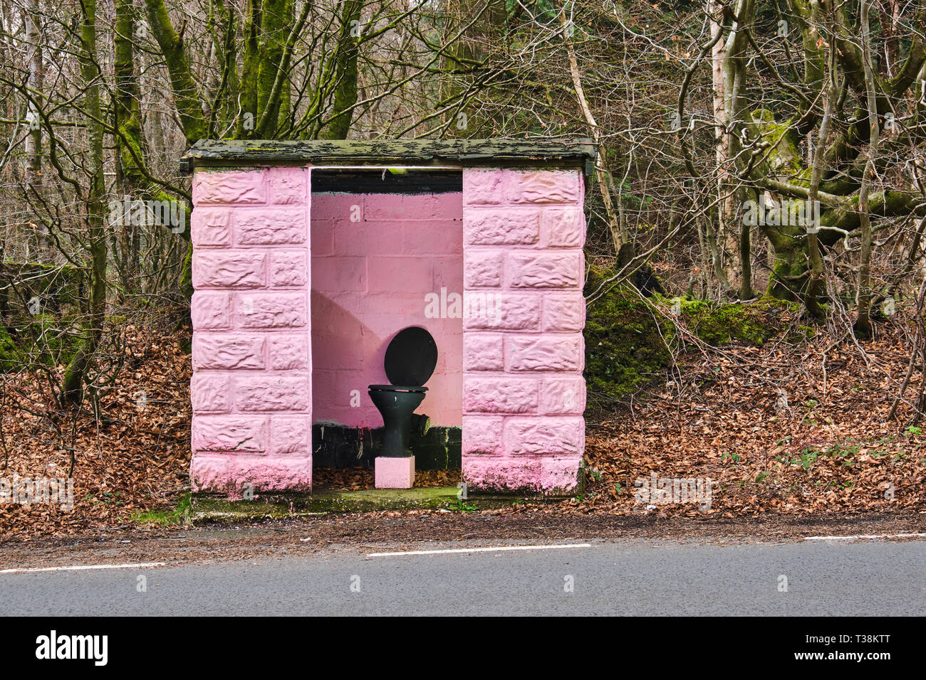 Pictured is an outdoor toilet by the side of a road near Taunton, Somerset Stock Photo Alamy