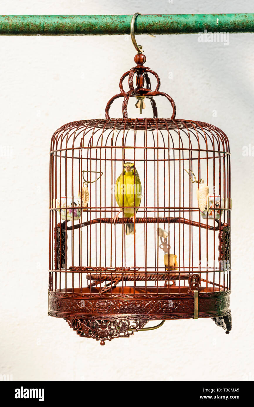 Bird in a wooden cage at the Yuen Po Street Bird Garden in Mong Kok, Hong  Kong Stock Photo - Alamy