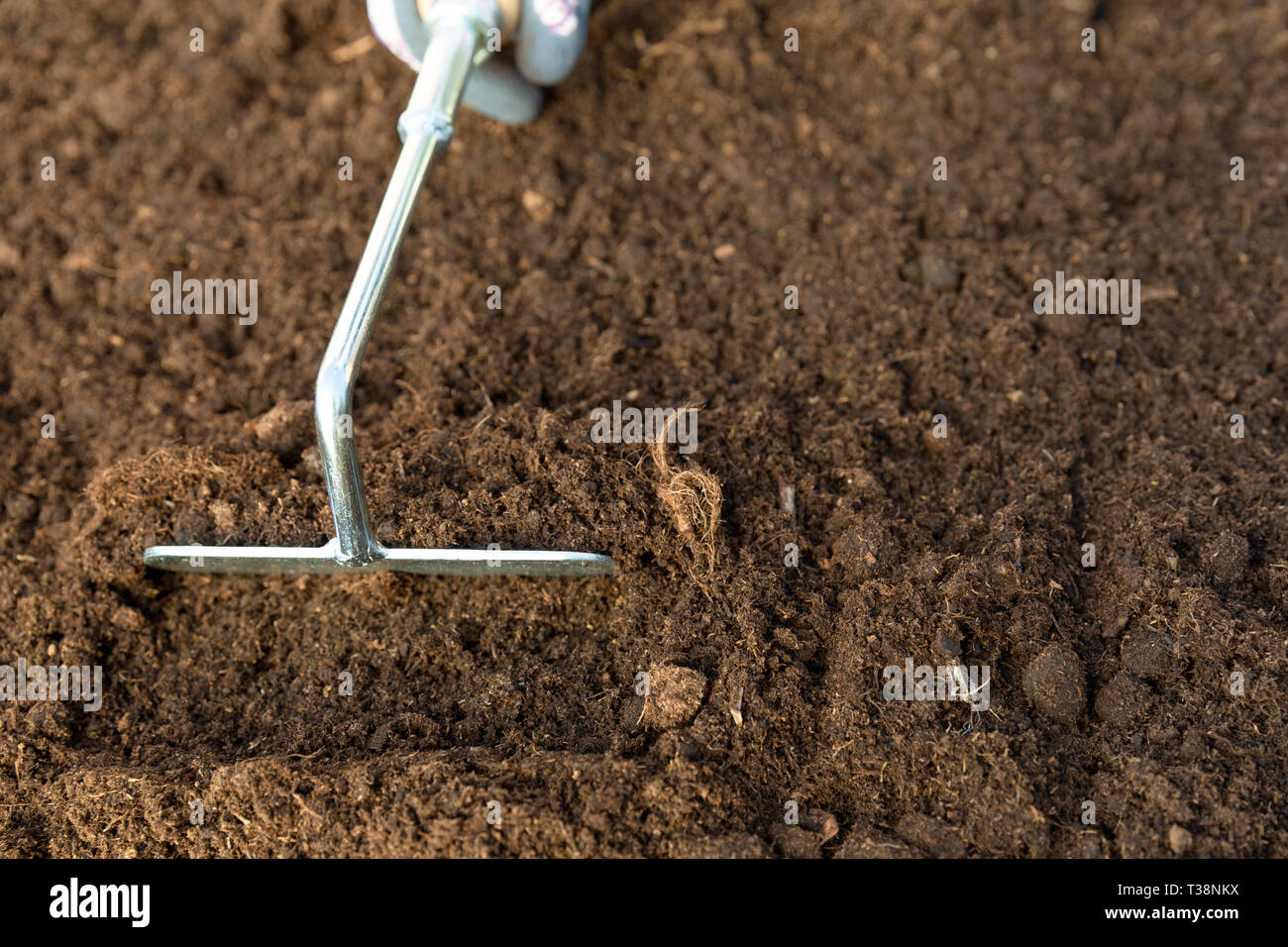 Hand of gardener woman digging a hole in soil with gardening tool. Spring garden work concept Stock Photo