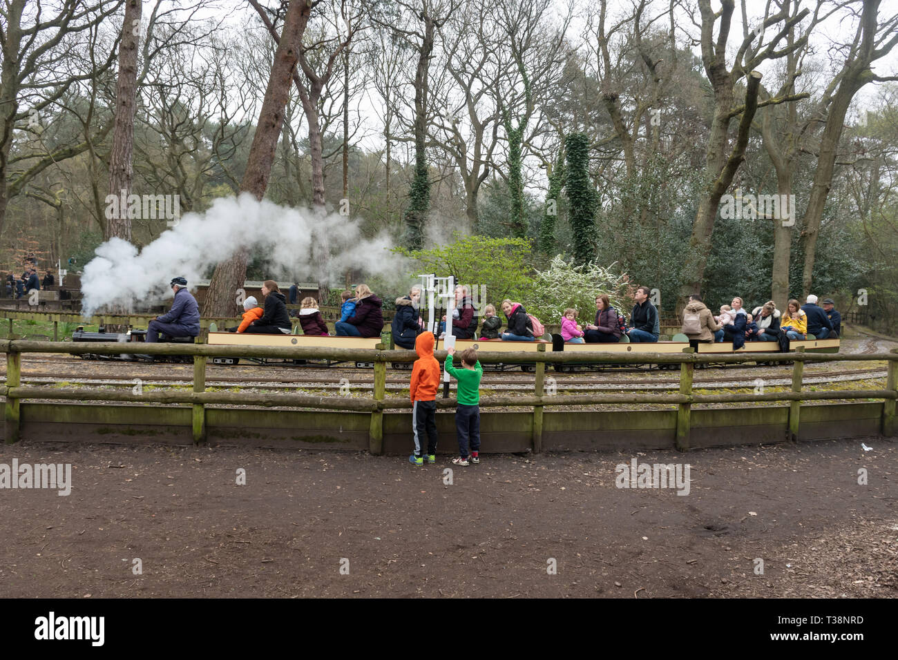Families enjoying rides on the miniature steam trains and railway at Frimley Lodge Park, Frimley, Surrey, UK Stock Photo