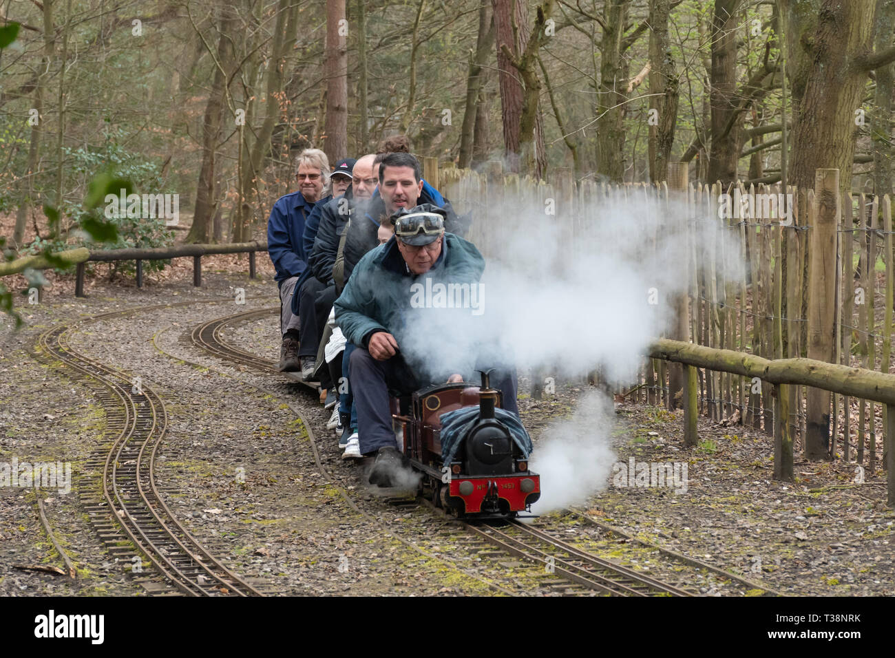 Families enjoying rides on the miniature steam trains and railway at Frimley Lodge Park, Frimley, Surrey, UK Stock Photo