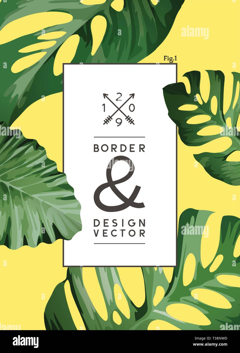 A vintage palm tree leaf frame background design. vector illustration. Stock Vector