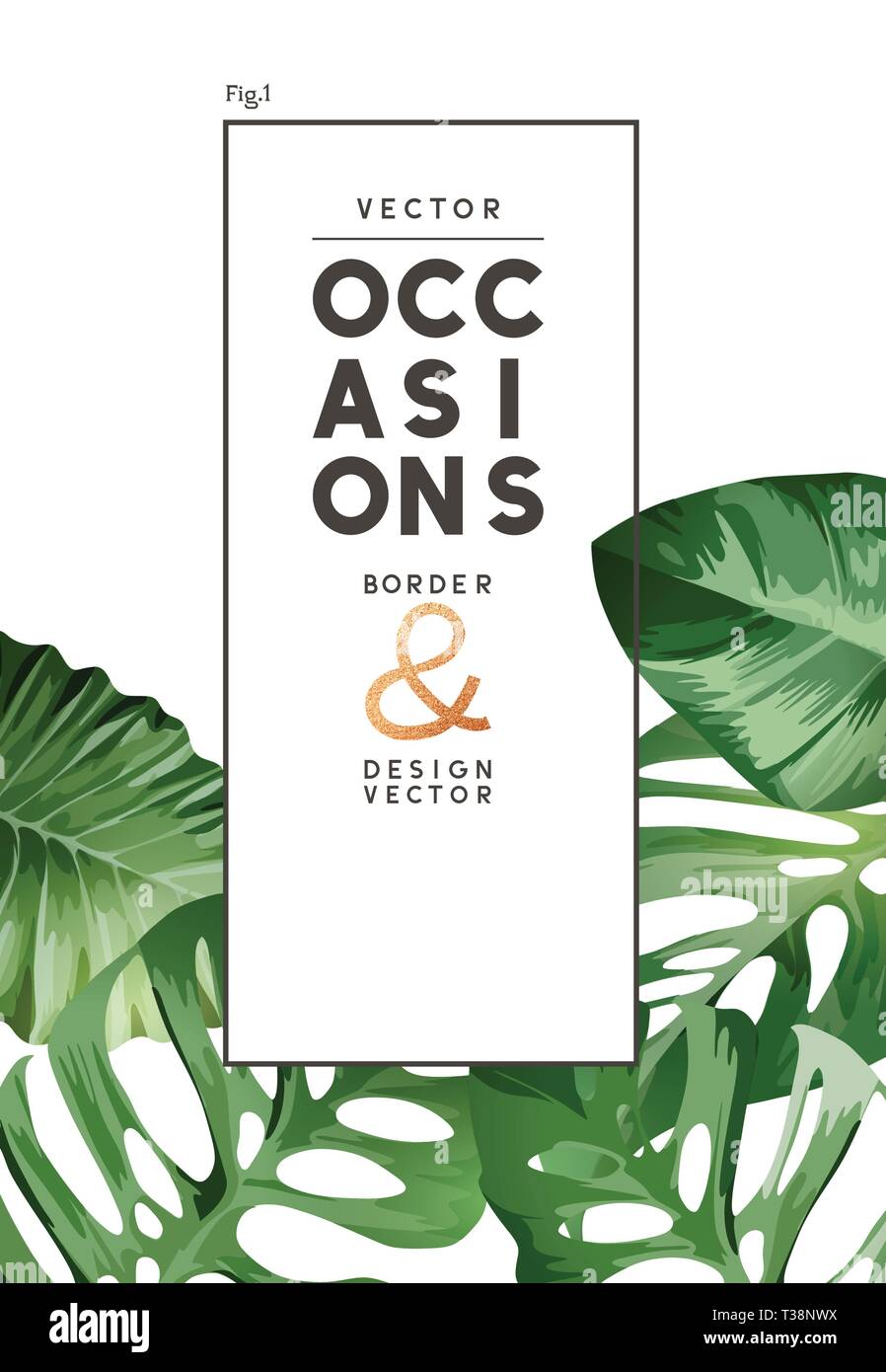 An elegant summer tropical palm tree leaf frame design. Vector illustration. Stock Vector