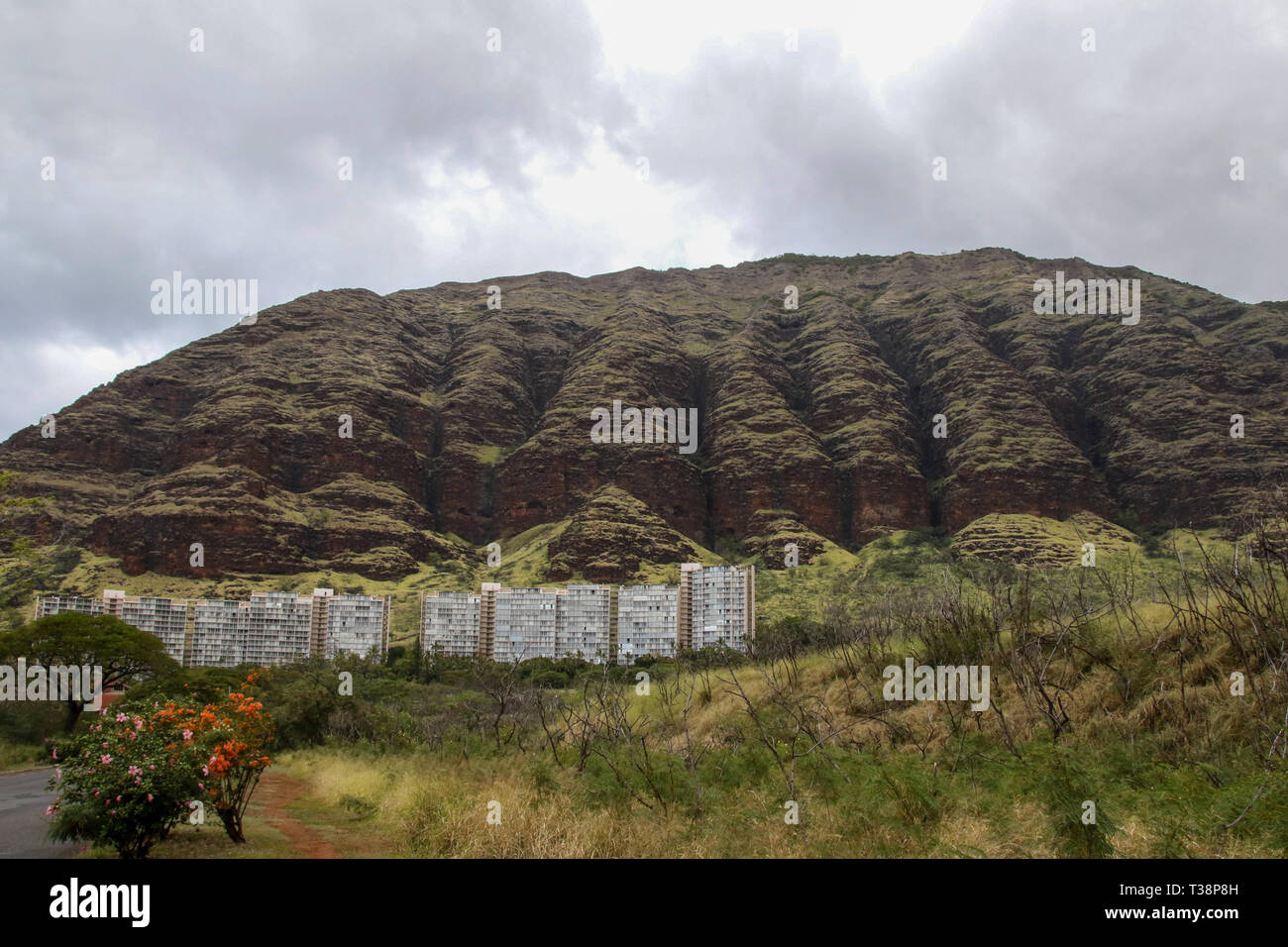 Waianae hires stock photography and images Alamy