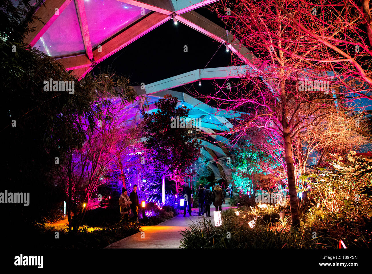 Canary Wharf Winter Lights Festival 2019 at Crossrail Place, London, UK Stock Photo