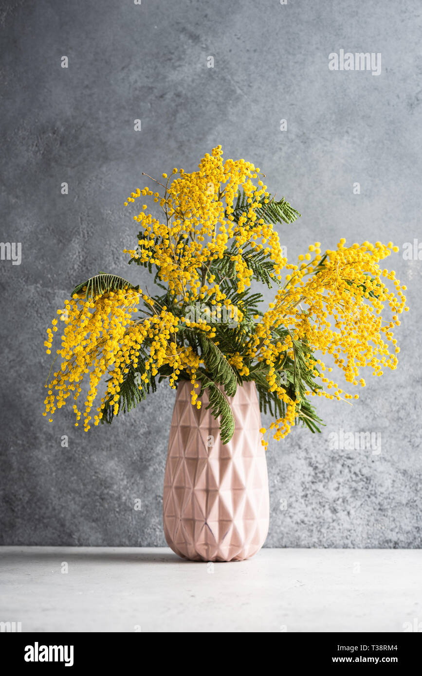Yellow Mimosa Flowers Bouquet In Vase On Concrete Background. Flower Still Life Stock Photo