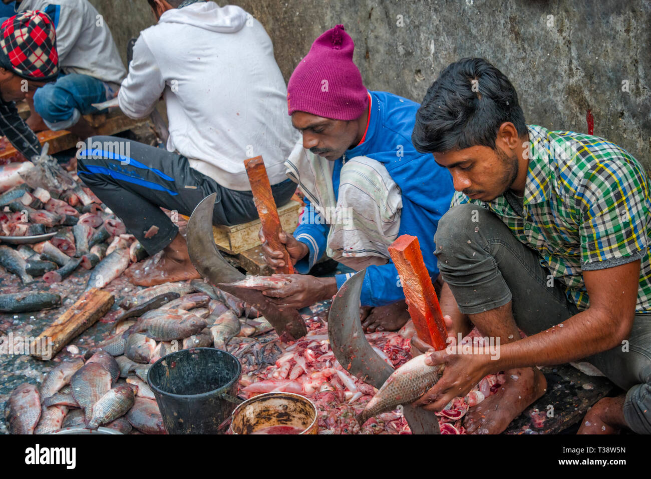 Vendor cleaning fish at fish market, Dhaka, Bangladesh Stock Photo Alamy