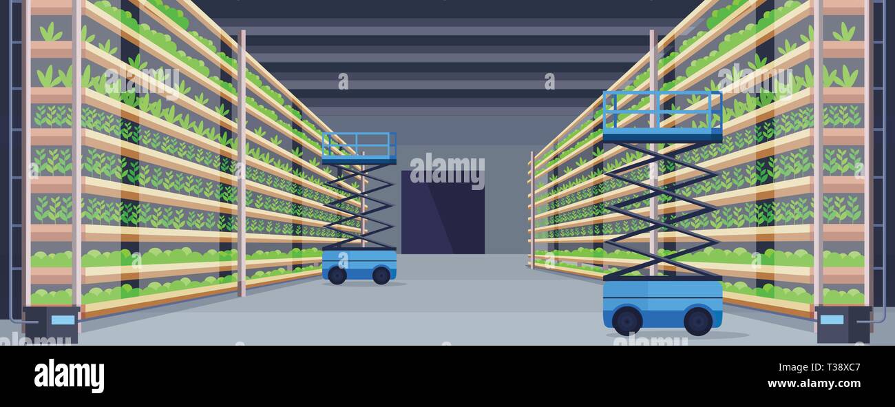 hydraulic scissors lift platforms in modern organic hydroponic vertical farm interior agriculture farming system concept green plants growing industry Stock Vector