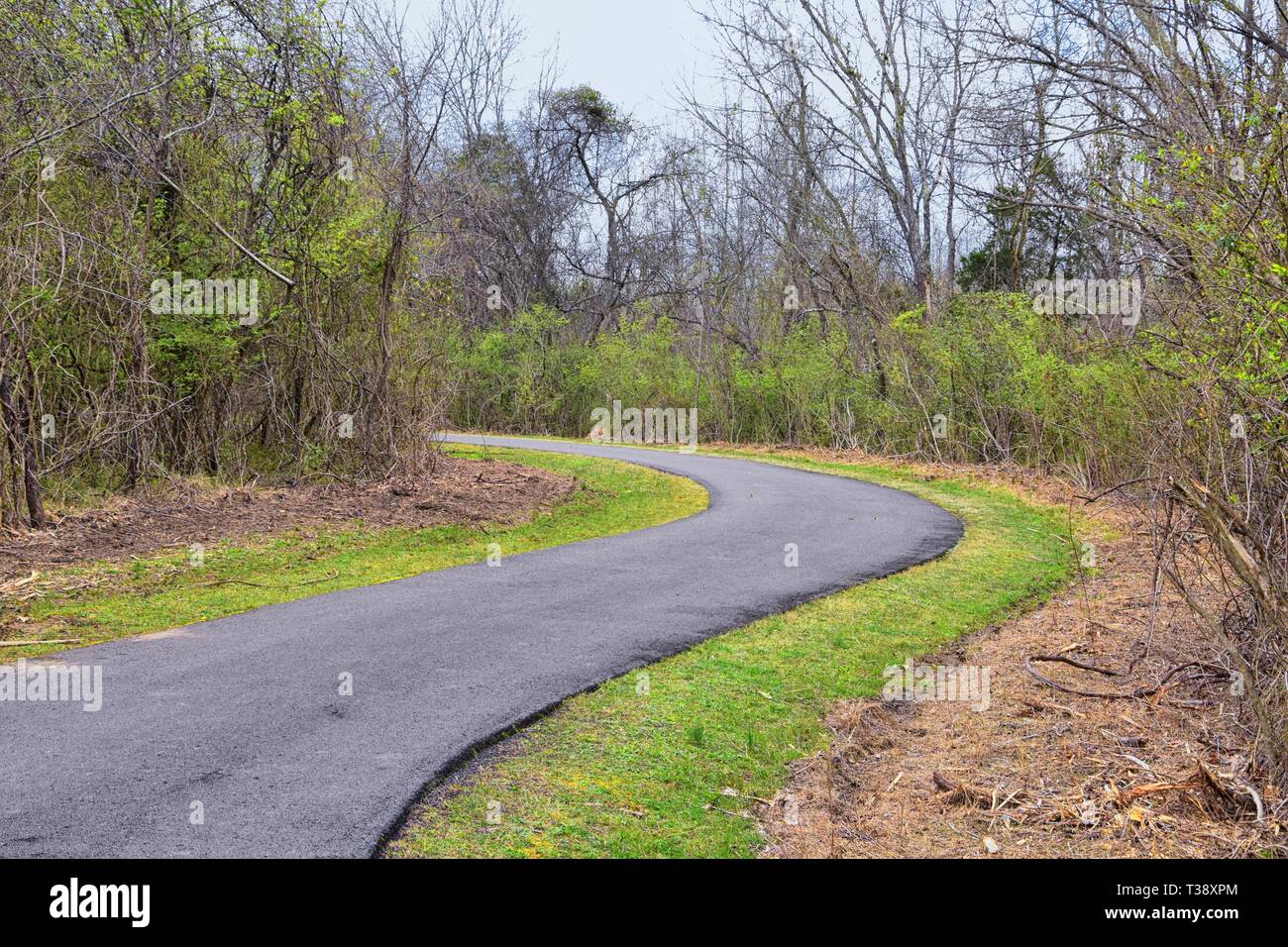 Views of Nature and Pathways along the Shelby Bottoms Greenway and