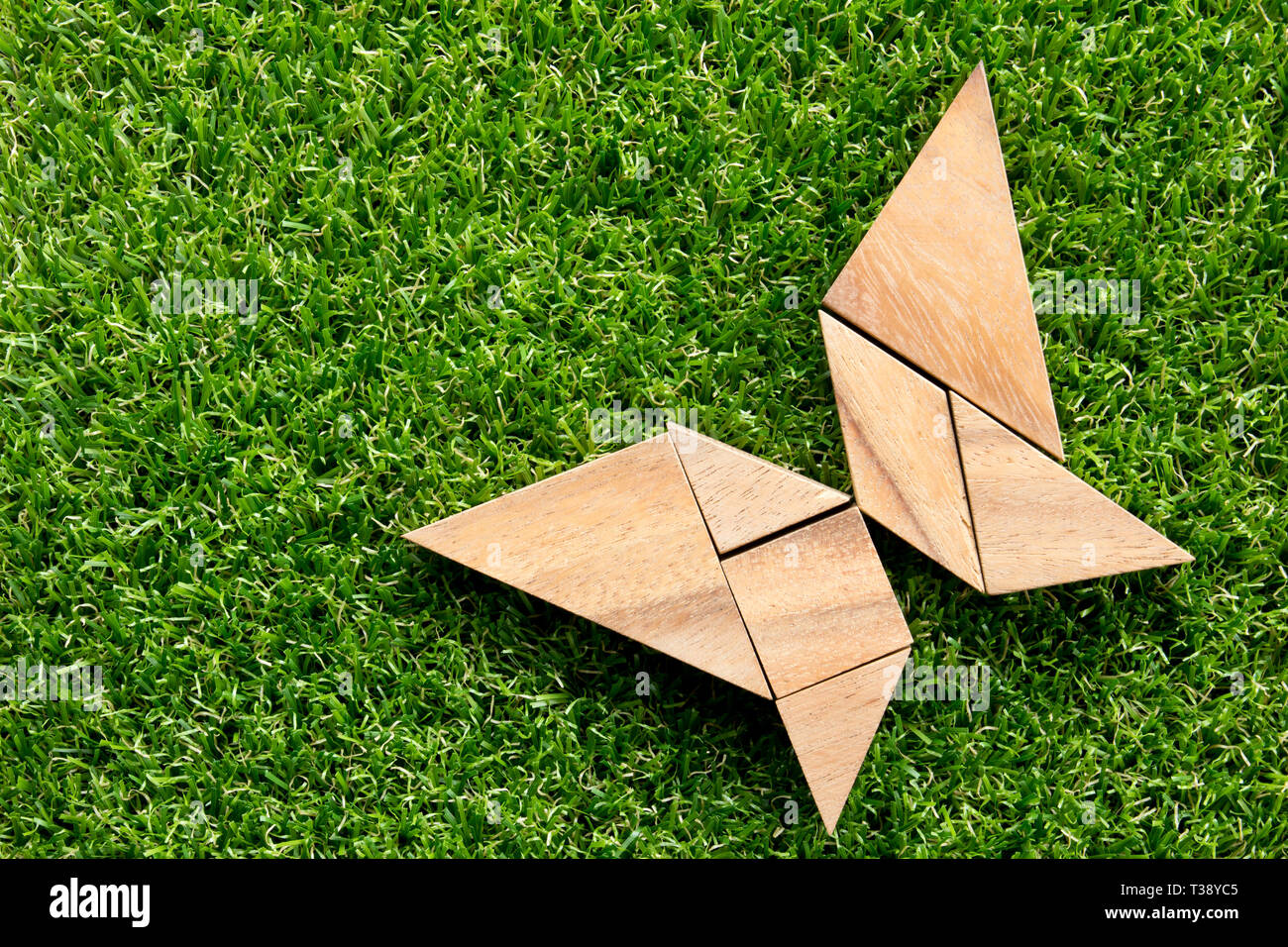Wooden tangram puzzle in flying butterfly shape on green grass