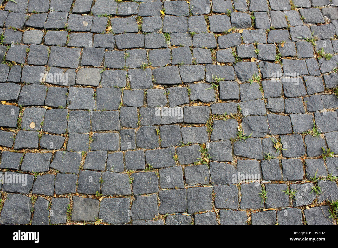 Antique paving hi-res stock photography and images - Alamy