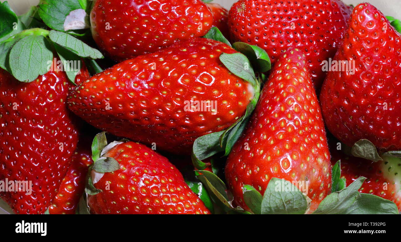 Bandeja de fresas en primer plano.  Tray of strawberries in the foreground Stock Photo